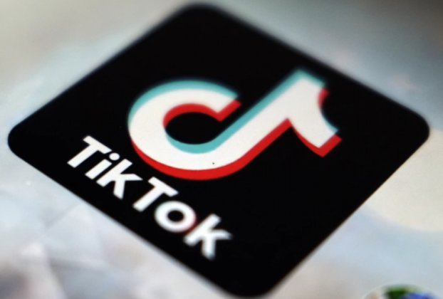 Albania Plans One-Year TikTok Ban, Citing Its Role in Promoting Violence Among Children