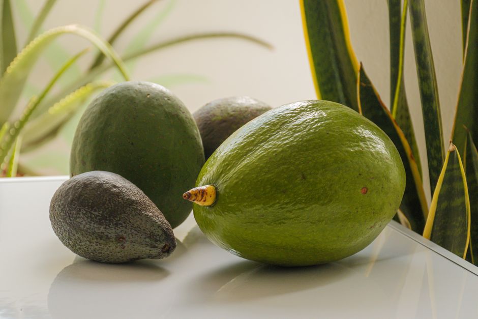 An Avocado a Day May Keep Diabetes, Hypertension, and Obesity at Bay