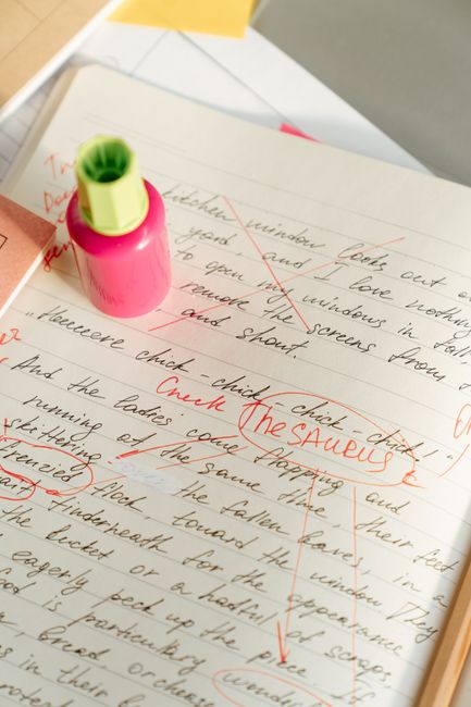ProWritingAid VS Grammarly: Which Grammar Checker is Better in (2022) ?