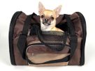 7 Best Pet Carriers to Keep Dogs and Cats Comfortable and Safe in Transit