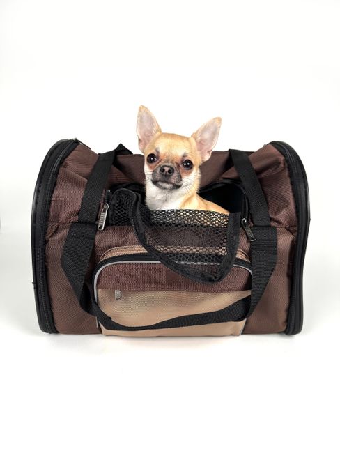 7 Best Pet Carriers to Keep Dogs and Cats Comfortable and Safe in Transit
