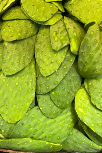 Nopales Benefits: Why You Might Add Cactus to Your Diet