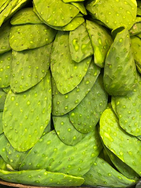 Nopales Benefits: Why You Might Add Cactus to Your Diet