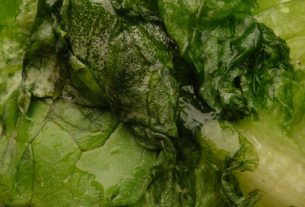 What Does Dark Green Poop Mean? Causes, Diet, and When to See a Doctor
