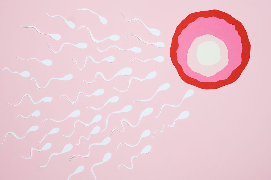‘Spermmaxxing’: Social Media Influencers Are Monetizing Male Fertility Anxiety