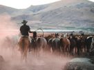 Where Was Dutton Ranch Filmed? Behind the Scenes of the Thrilling Ranch Successor to Yellowstone
