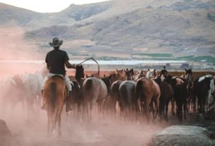 Where Was Dutton Ranch Filmed? Behind the Scenes of the Thrilling Ranch Successor to Yellowstone
