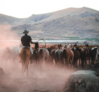Where Was Dutton Ranch Filmed? Behind the Scenes of the Thrilling Ranch Successor to Yellowstone