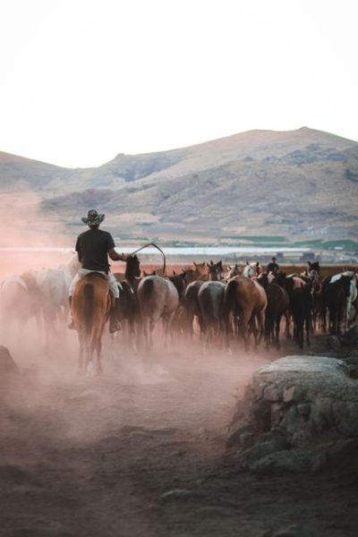 Where Was Dutton Ranch Filmed? Behind the Scenes of the Thrilling Ranch Successor to Yellowstone