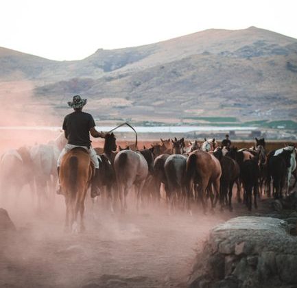 Where Was Dutton Ranch Filmed? Behind the Scenes of the Thrilling Ranch Successor to Yellowstone