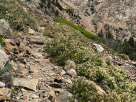 Hiking Safely at 70: Seven Tips and Hiking Gear for Older Hikers