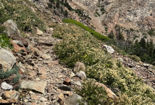 Hiking Safely at 70: Seven Tips and Hiking Gear for Older Hikers