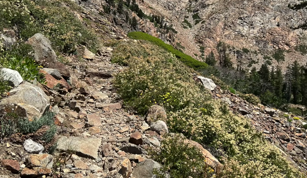 Hiking Safely at 70: Seven Tips and Hiking Gear for Older Hikers
