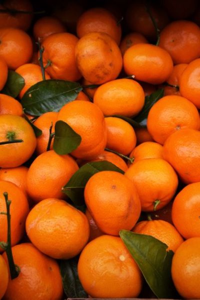 Are Tangerines Good for You? 5 Health Benefits You Might Love