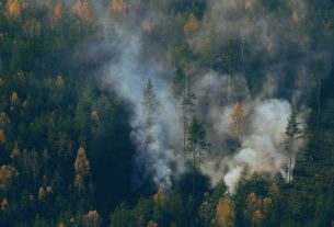 Prediction Markets Let You Bet on Whether a Wildfire Will Burn Down Your Town
