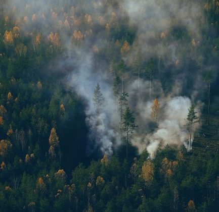 Prediction Markets Let You Bet on Whether a Wildfire Will Burn Down Your Town