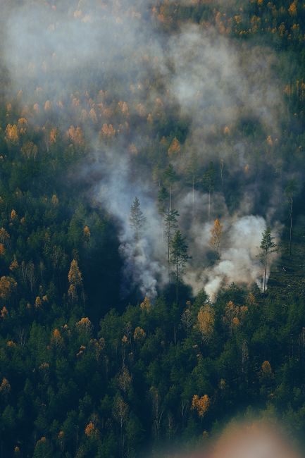 Prediction Markets Let You Bet on Whether a Wildfire Will Burn Down Your Town