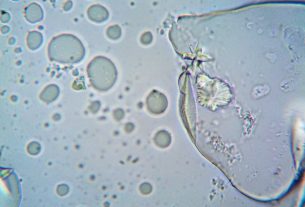 Artificial cell manages a few rounds of cell division