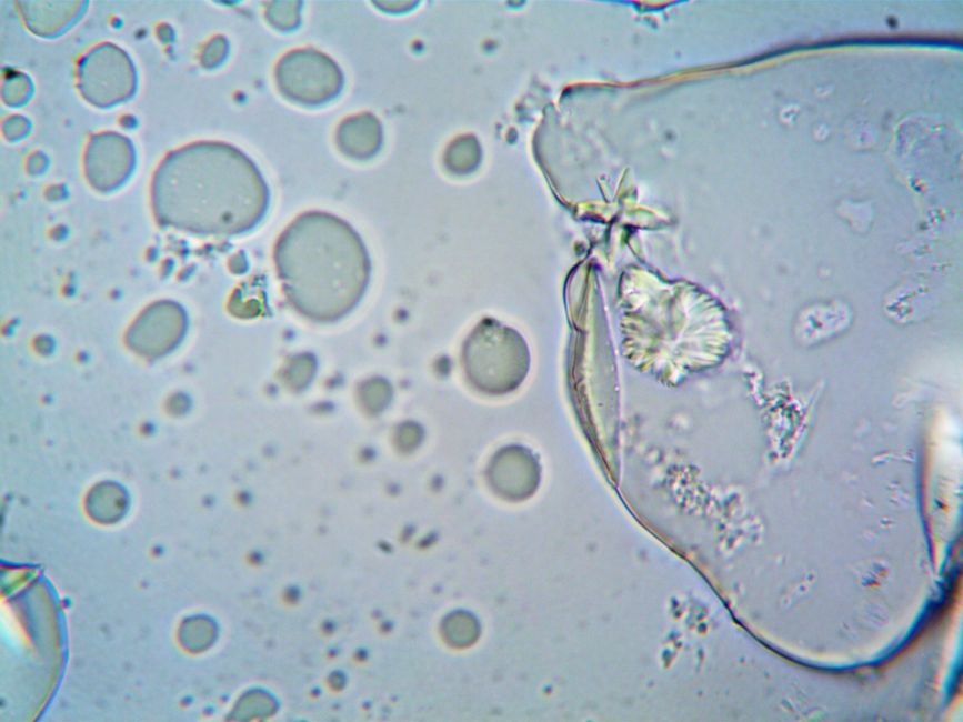 Artificial cell manages a few rounds of cell division
