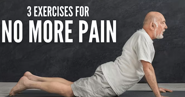 The 3 Best Back Exercises (For NO MORE PAIN)