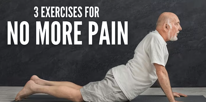 The 3 Best Back Exercises (For NO MORE PAIN)