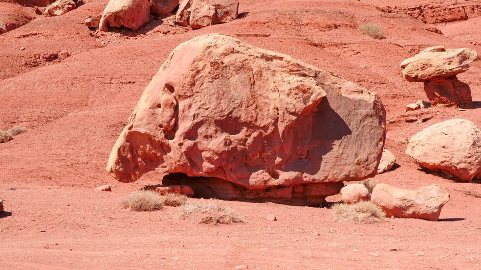A martian rock has lots of carbon on it, and it’s not clear why