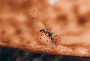 Beer, Body Scent May Make You a Mosquito Magnet. Can DEET Help?